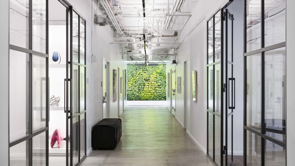 A hallway with glass doors.